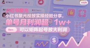 小红书聚光投放实操经验分享,单号月利润超1w+,可以矩阵起号放大利润-知乎者也