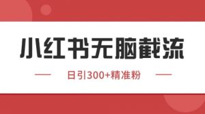 小红书只要你有同行就能获客，独家野路子获客玩法，暴力截流【揭秘】-知乎者也