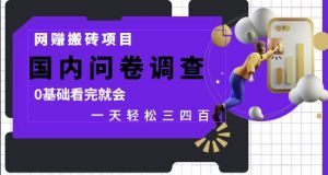 网创搬砖项目,国内问卷调查,0基础看完就会 一天轻松三四张,靠谱副业干就完了【揭秘】-知乎者也