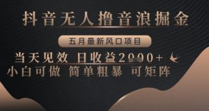 抖音无人撸音浪掘金，五月最新风口项目，当天见效，日收益多张，小白可做简单粗暴可矩阵【揭秘】-知乎者也