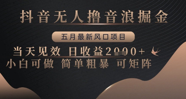 抖音无人撸音浪掘金，五月最新风口项目，当天见效，日收益多张，小白可做简单粗暴可矩阵【揭秘】-知乎者也