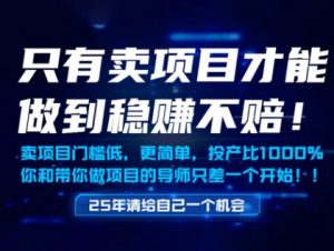 只有卖项目才能做到稳挣不赔，门槛低，更简单，你也可以年入百个W【揭秘】-知乎者也
