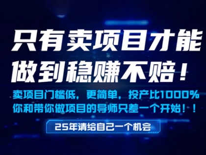 只有卖项目才能做到稳挣不赔，门槛低，更简单，你也可以年入百个W【揭秘】-知乎者也