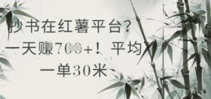 抄书在小红薯平台？平均一单30米，一天收益几张！-知乎者也