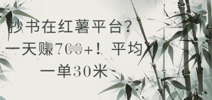 抄书在小红薯平台?平均一单30米,一天收益几张!-知乎者也