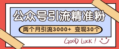 公众号精准粉引流玩法,2个月3000+精准粉,变现30个W【揭秘】-知乎者也