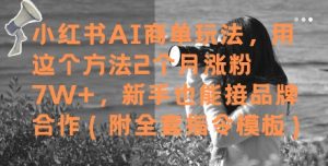 小红书AI商单玩法,用这个方法2个月涨粉7W+,新手也能接品牌合作(附全套指令模板)-知乎者也