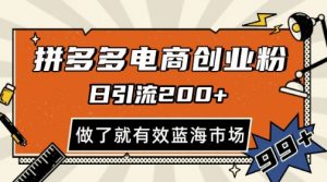 拼多多引流电商创业粉，日引200+，可矩阵放大，做了就有效【揭秘】-知乎者也