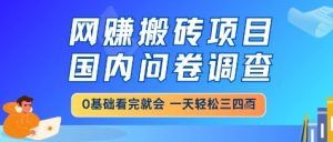 网创搬砖项目,国内问卷调查,小白轻松上手,一天三四张的也不难,干就完了【揭秘】-知乎者也