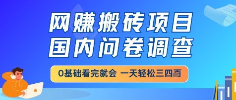 网创搬砖项目,国内问卷调查,小白轻松上手,一天三四张的也不难,干就完了【揭秘】-知乎者也