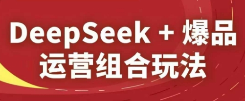 DeepSeek+爆品运营组合玩法，2025淘系精品课-知乎者也