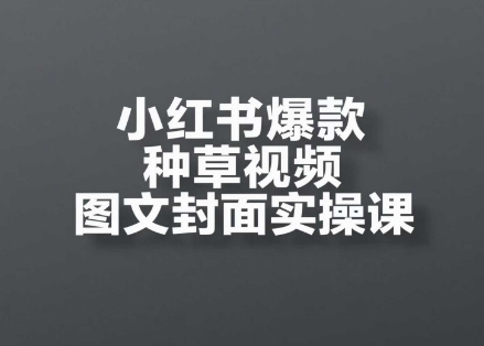 小红书爆款种草视频图文封面实操课,开店、选品、引流、变现全流程-知乎者也