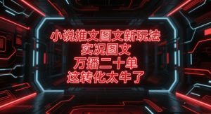 小说推文图文新玩法,实况图文,万播二十单,这转化太牛了!-知乎者也