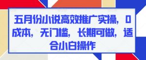 五月份小说高效推广实操，0成本，无门槛，长期可做，适合小白操作-知乎者也
