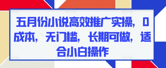 五月份小说高效推广实操,0成本,无门槛,长期可做,适合小白操作-知乎者也