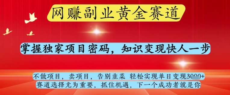 网创副业黄全赛道,掌握独家项目密码,知识变现快人一步,告别韭菜轻松实现单日变现1k+【揭秘】-知乎者也