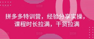 拼多多特训营,经验分享实操,课程时长拉满,干货拉满(更新25年4月)-知乎者也