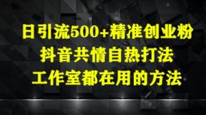 日引流500+精准创业粉,抖音共情自热打法,工作室都在用的方法-知乎者也
