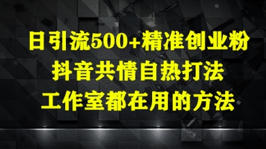 日引流500+精准创业粉,抖音共情自热打法,工作室都在用的方法-知乎者也