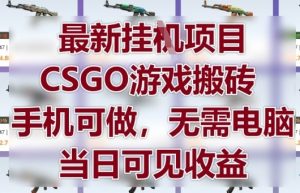 最新挂G项目，CSGO游戏搬砖，手机可做，无需电脑，当日见收益【揭秘】-知乎者也