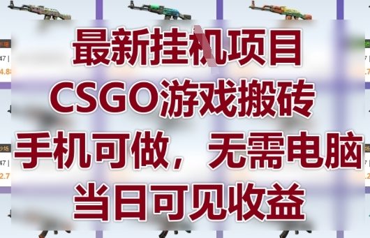最新挂G项目，CSGO游戏搬砖，手机可做，无需电脑，当日见收益【揭秘】-知乎者也