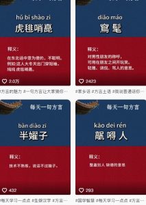 抖音最新涨粉玩法，图文方言暴力涨粉实操，126作品涨粉11W-知乎者也