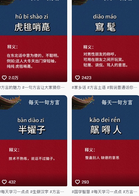抖音最新涨粉玩法,图文方言暴力涨粉实操,126作品涨粉11W-知乎者也