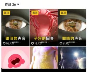 抖音坚果3D动画科普项目，撸视频号分成和抖音伙伴计划，适合零基础小白-知乎者也