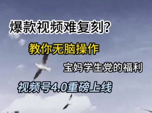 视频号4.0重磅上线，爆款视频难复刻？教你无脑操作宝妈学生党的福利【揭秘】-知乎者也