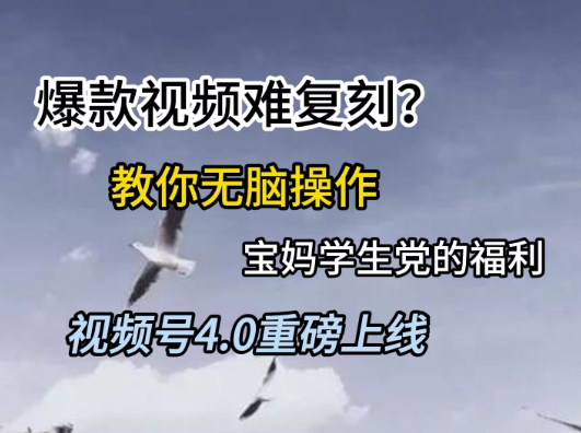 视频号4.0重磅上线，爆款视频难复刻？教你无脑操作宝妈学生党的福利【揭秘】-知乎者也