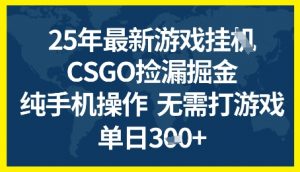 25年CSGO游戏搬砖，全自动挂G，不需要玩游戏，手机操作日入3张+【揭秘】-知乎者也