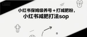 小红书保姆级养号+打减肥粉，小红书减肥打法sop-知乎者也