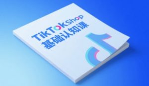 TikTok小店基础认知课,助力学员从 0 到 1 掌握 TikTok 电商运营全链路认知-知乎者也