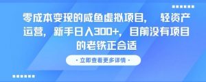 零成本变现的咸鱼虚拟项目， 轻资产运营，新手日入3张+，目前没有项目的老铁正合适-知乎者也