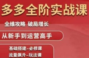 拼多多全阶实战课程,全维攻略,破局增长,从新手到运营高手-知乎者也