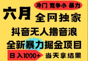 25年6月高爆抖音无人直播最新撸音浪掘金项目,小白可做,无脑日入1k+,门槛低可批量矩阵【揭秘】-知乎者也