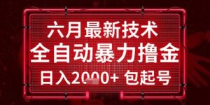 六月最新技术全自动暴力撸金,稳定日入2k+包起号,长期稳定【揭秘】-知乎者也