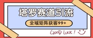小红书某音塔罗赛道引流获客 自热矩阵日引200+【揭秘】-知乎者也