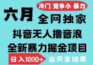 2025年6月高爆抖音无人直播最新撸音浪掘金项目,无脑日入1k+,低门槛小白可做,可矩阵放大【揭秘】-知乎者也