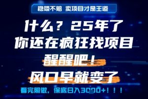 什么?25年你还在疯狂找项目做,醒醒吧,看完这些你全都懂了!【揭秘】-知乎者也