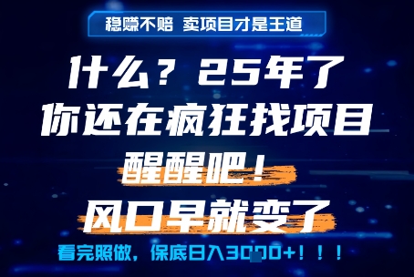 什么？25年你还在疯狂找项目做，醒醒吧，看完这些你全都懂了！【揭秘】-知乎者也