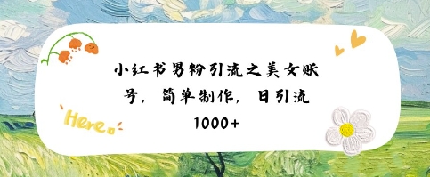 小红书男粉引流项目之美女账号6，简单制作，条条爆款原创，不违规-知乎者也