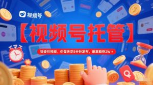 【视频号托管 】我提供视频,你每天花5分钟发布,最高躺挣2W+【揭秘】-知乎者也
