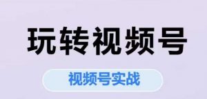 玩转视频号，视频号实战系列课-知乎者也
