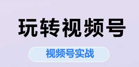 玩转视频号，视频号实战系列课-知乎者也