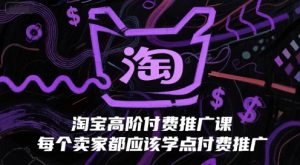 淘宝高阶付费推广课,每个卖家都应该学点付费推广-知乎者也