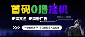 首码0撸挂G项目，无需实名无需看广告 一键启动运行，小白轻松日入三位数【揭秘】-知乎者也