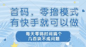 首码零撸项目，有快手就可以做，每天业务时间搞个几张不是问题【揭秘】-知乎者也
