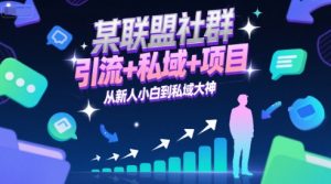 某联盟社群，引流+私域+项目，从新人小白到私域大神-知乎者也