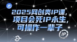 2025网创类IP课,项目会死IP永生,可操作一辈子-知乎者也